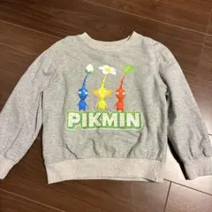 ピクミントレーナー　120