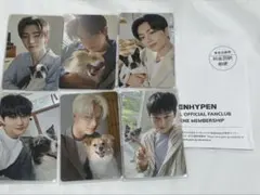 ENHYPEN FC アンケート特典 トレカ 2025 6人セット