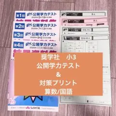 奨学社 小3 公開テスト&対策プリント 奨学社 小3 公開テスト&対策プリント - メルカリ
