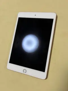 iPad mini 5 本体 256GB Wi-Fi ゴールド おまけ
