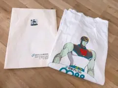 2025 IRONMAN JAPAN みなみ北海道 TシャツM メダル6点セット - メルカリ