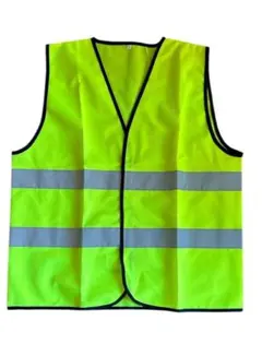 Item thumbnail for item 72a43d51-b72e-4217-b1ad-785583a35a46