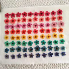 Item thumbnail for item 9aee5504-5101-487d-9547-e605cea8a627