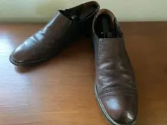 Item thumbnail for item ccbf3afb-f8c0-4d1a-bdb1-c95bff8079ac