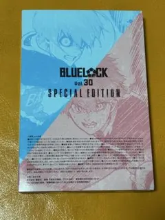 ブルーロック30巻　特装版　特典のみ
