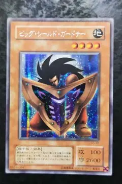 2025年最新】ビッグ・シールド・ガードナーの人気アイテム