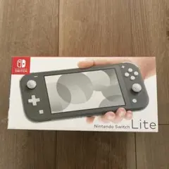 Nintendo Switch Lite グレー　充電器付き　箱付き