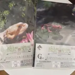 一番くじ　爬虫類両生類G賞クリアファイル&ステッカーセット