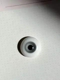 Item thumbnail for item 8e018f19-030d-4855-b66e-34c0f000c78c