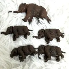 Item thumbnail for item 9666b227-75bb-49d4-9705-aa7986bc3ff6