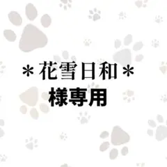 ✴︎花雪日和✴︎様専用【バーニーズ】デザイン