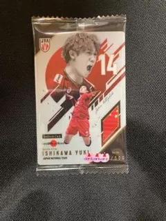 バレーボール日本代表 ぬいぐるみ アクスタ キーホルダー ウエハース