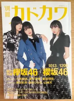 別冊カドカワ 櫻坂46 欅坂46