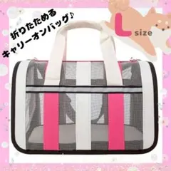 Item thumbnail for item 44db43fb-8410-470b-9cd8-1446a401981f