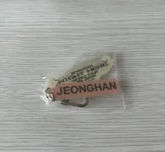 SEVENTEEN JEONGHAN キーホルダー