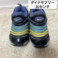 NIKEダイナモフリー　20センチ