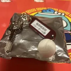 稲荷崎高校　鍵チャームキーホルダー