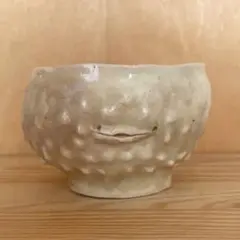廣田哲也さん　いきもの器