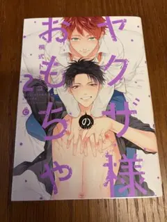 ヤクザ様のおもちゃ 2巻