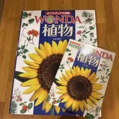 Item thumbnail for item 42a4c691-d71e-4ad6-b966-5437e17a04d3