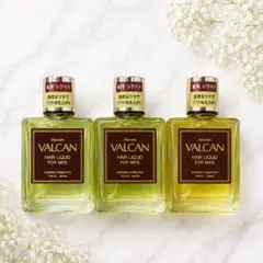 【新品未使用品】カネボウ　バルカン ヘアーリクイド〈L〉男性用 300ml ２本 カネボウ バルカン ヘアーリクイドL 300ml ×2本 - メルカリ