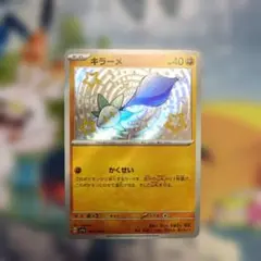キラーメ Sのサムネイル