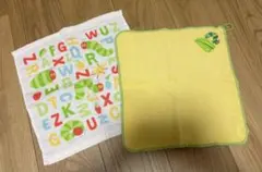 【新品未使用】エリック・カール はらぺこあおむしタオル 2枚セット