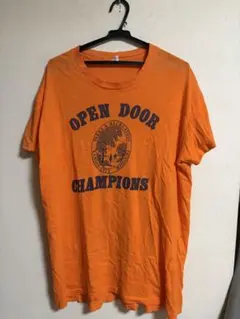 シカゴ・カブス ヴィンテージTシャツ 掘り出し物！レッドカラーXL 野球 