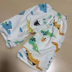 恐竜柄 おねしょパンツ Lサイズ