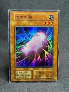 2025年最新】遊戯王 進化の繭の人気アイテム - メルカリ