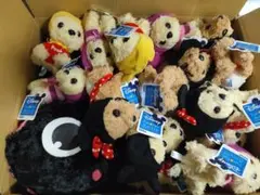 ぬいぐるみ　まとめ売り　大量セット①