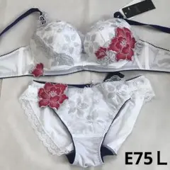 サルート　ブラジャーショーツセット 2026年最新】サルート セットの人気アイテム - メルカリ
