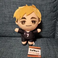 ハイキュー!!みにコレ ぬいぐるみ