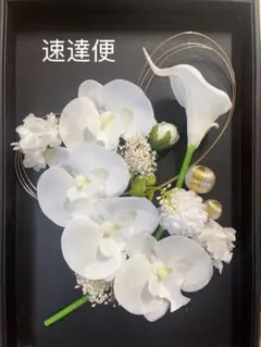 Item thumbnail for item 80663d48-eb71-42b3-906a-b2c3371e19f6