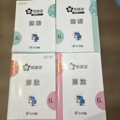 2026年最新】浜学園春期講習小6の人気アイテム - メルカリ