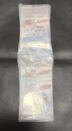 家庭教師ヒットマンREBORN！アクリルバッジコレクション第2弾未開封10点