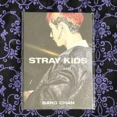 straykids IN生 購入特典 ミニフォトブック バンチャン ❷