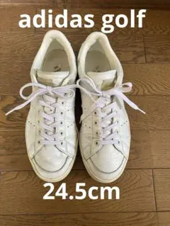 adidas ゴルフシューズ　レディース　24.5cm