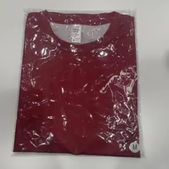 ノーザンホースパークマラソン Tシャツ Mのサムネイル