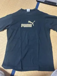PUMA半袖Tシャツ　Lサイズ