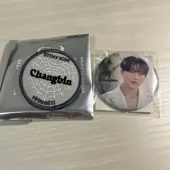 straykids スンミン maniac the sound 缶バッチ - メルカリ