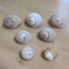 Item thumbnail for item 413f337c-7a58-4525-93d9-708f52a23cb1