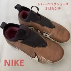 【値下】NIKE ズーム マーキュリアル ヴェイパー 15 アカデミー 21.5のサムネイル