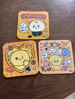 チェゴシム☆ コースター 3種セット