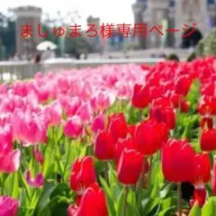 ましゅまろ様専用 春❤️リボン付レギンス  ホワイト 【韓国子供服】