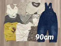 子供服 まとめ売り 10点 90cm 女の子 トレーナー ニット カーディガン