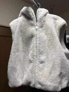 ZARA ファーベスト