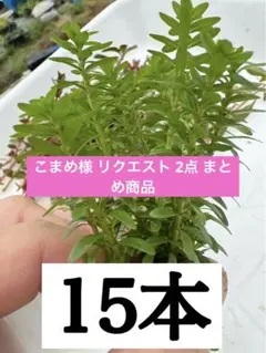 こまめ様 リクエスト 2点 まとめ商品