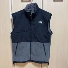 THE NORTH FACE デナリベスト