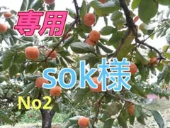②☆専用sok様2箱▶4お値下げしました！《☆SALE》【農直5kg箱】平核無柿